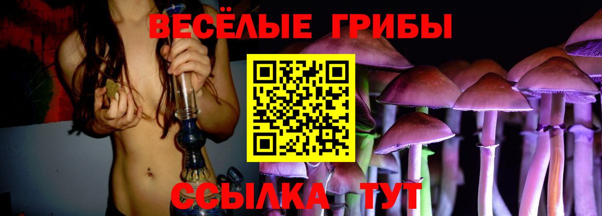 Псилоцибиновые грибы прущие грибы  Вход с VPN  где можно купить наркотик  Надым 
